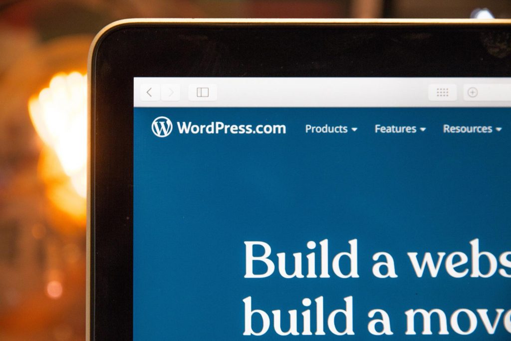 WordPress geliştiricisi