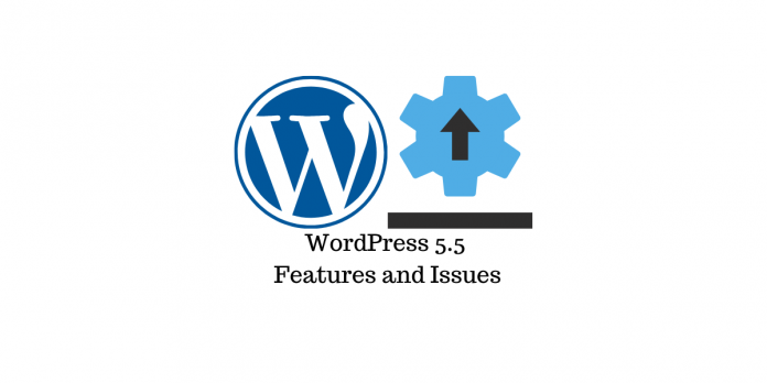 WordPress 5.5 WordPress 5.5