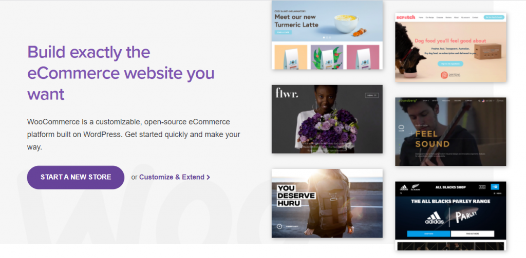 Shopify Concorrenti