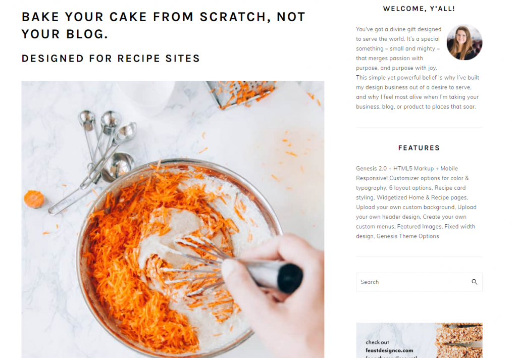 Motywy Premium WordPress