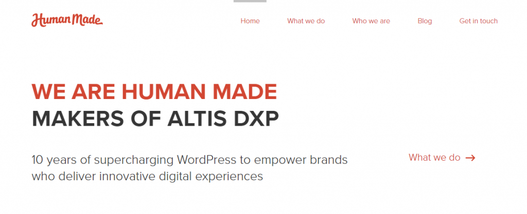Perusahaan Pengembangan Plugin WordPress