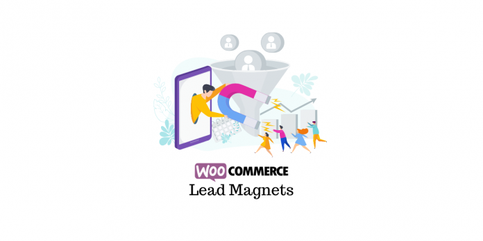 Bleimagnete Lead Magnets