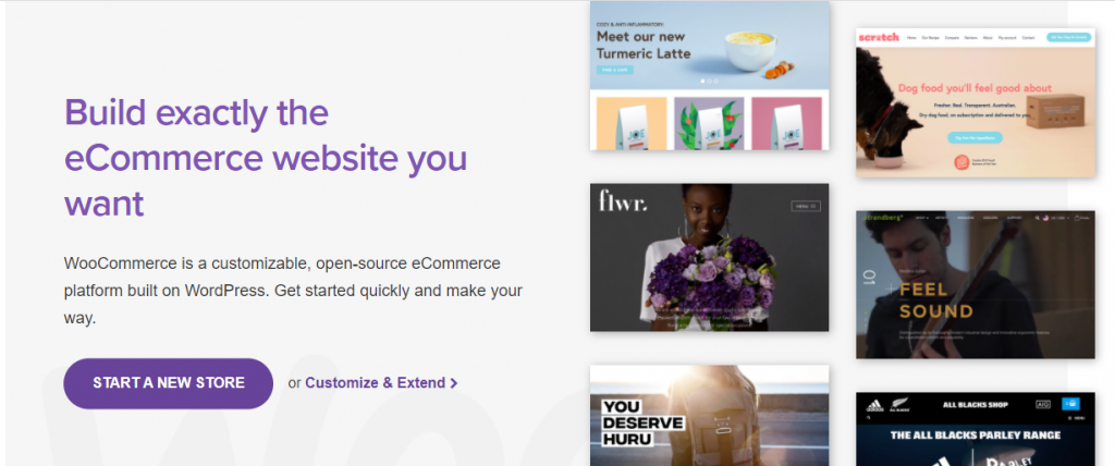 Webflow vs. WordPress