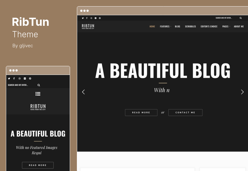 RibTun Theme - Tema de blog de WordPress para escritores