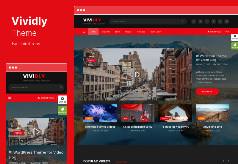 Vividly Theme - Tema de WordPress para video blog