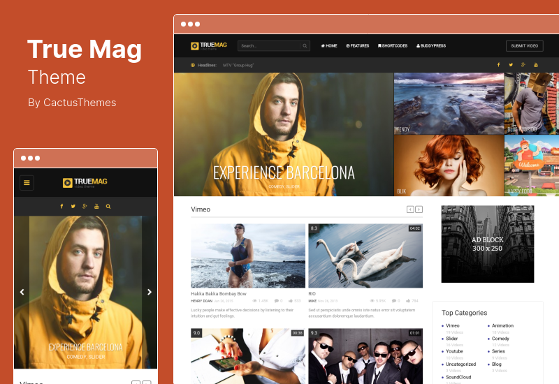 True Mag Theme - Tema de WordPress para Video Magazine