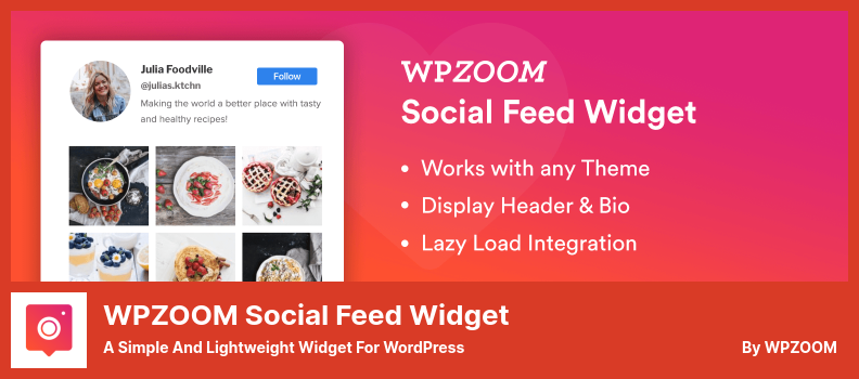 Plugin Widget Umpan Sosial WPZOOM - Widget Sederhana dan Ringan untuk WordPress