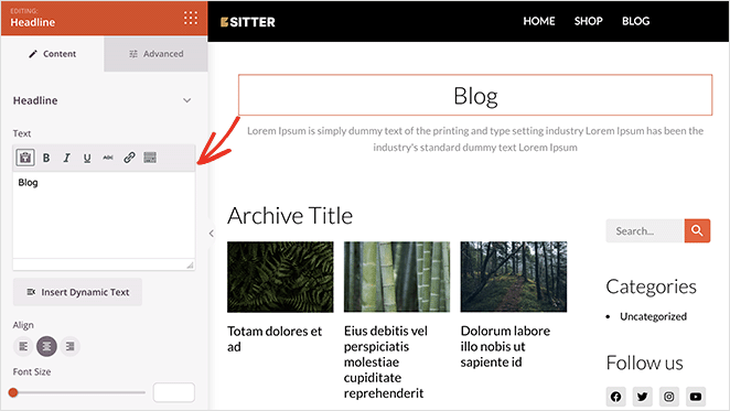 edit-blog-headline - SeedProd Edit blog page headline visually