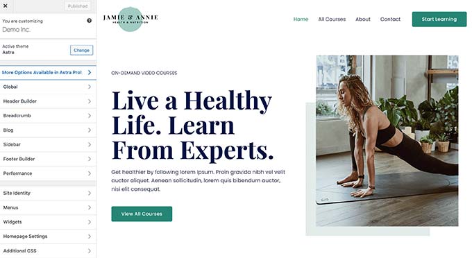ปรับแต่งธีม WordPress ของคุณ Customize your WordPress theme