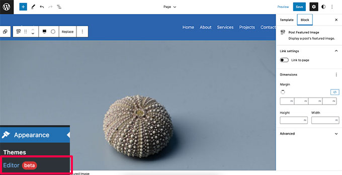 完整的站點編輯器預覽 Full site editor preview