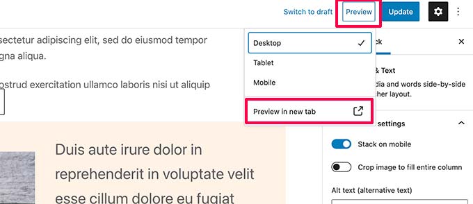 帖子和頁面的預覽選項 Preview options for post and pages