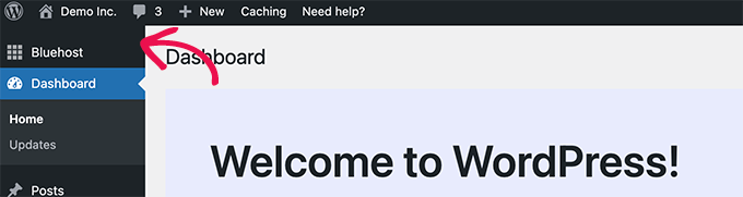 已安裝 Bluehost 插件 Bluehost plugin installed