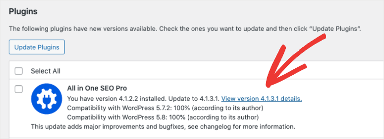 Versionsdetails des Updates anzeigen - IsItWP - Free WordPress Theme Detector view version details of update