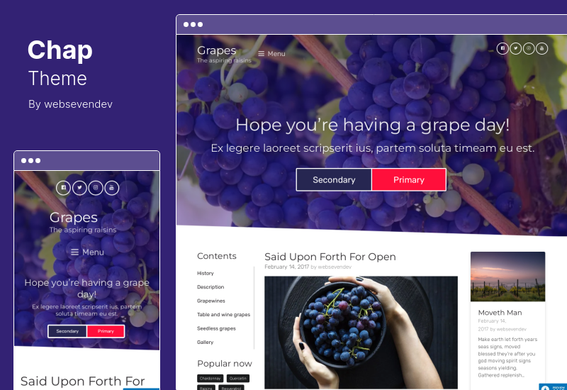 Tema Chap - Tema WordPress multiuso moderno pronto per AMP