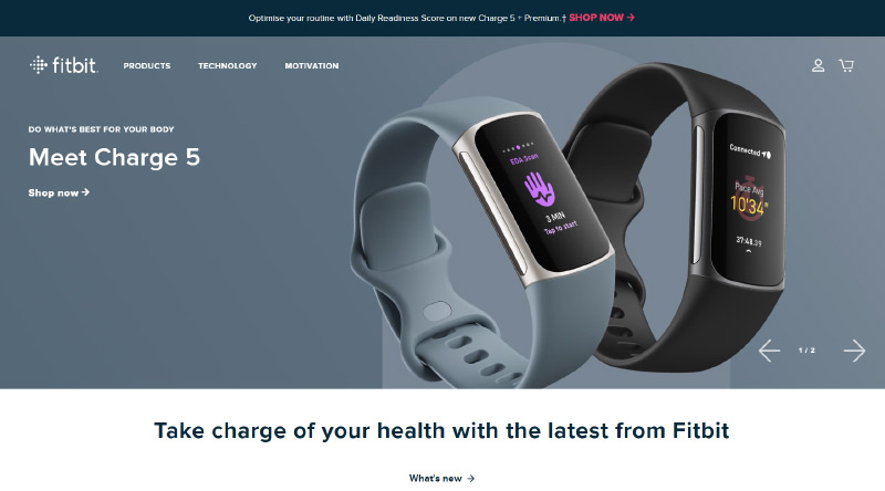獲得靈感的 10 個頂級企業網站示例 7 Fitbit