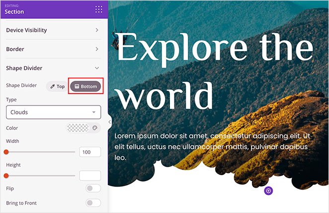 pembagi bagian bawah - SeedProd bottom section divider WordPress