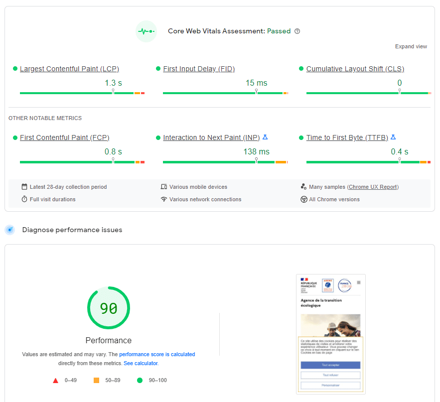 Raport Google PageSpeed Insights – źródło