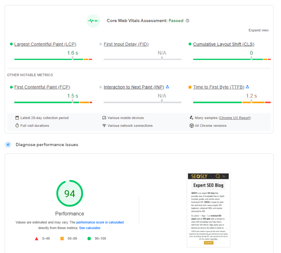 Raport Google PageSpeed Insights – źródło