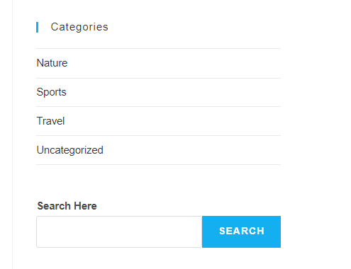Jak dodać pasek wyszukiwania w WordPress w ciągu kilku minut 6 Add search bar to WordPress site