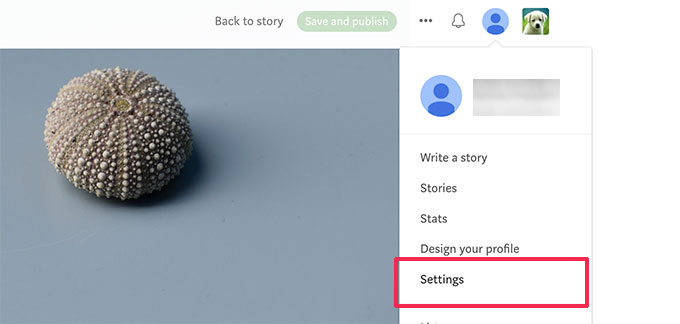 Configuraciones de la cuenta Account settings