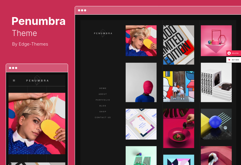 Penumbra 主题 - 多概念设计组合 WordPress 主题