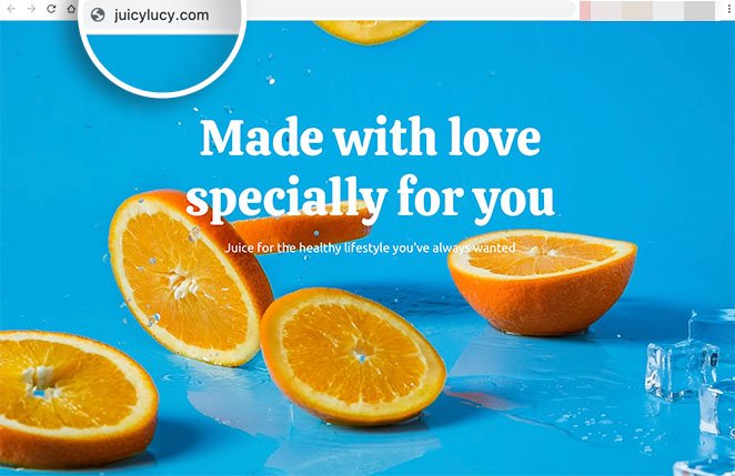 landing-page-sin-sitio-web - SeedProd live landing page without website