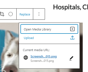 Tampilan mendetail dari menu Open Media Library di WordPress.