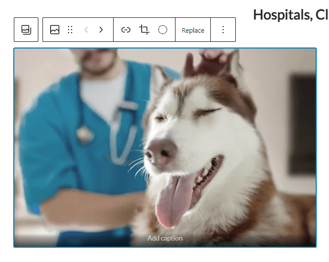Tampilan mendetail dari opsi penggantian gambar di WordPress