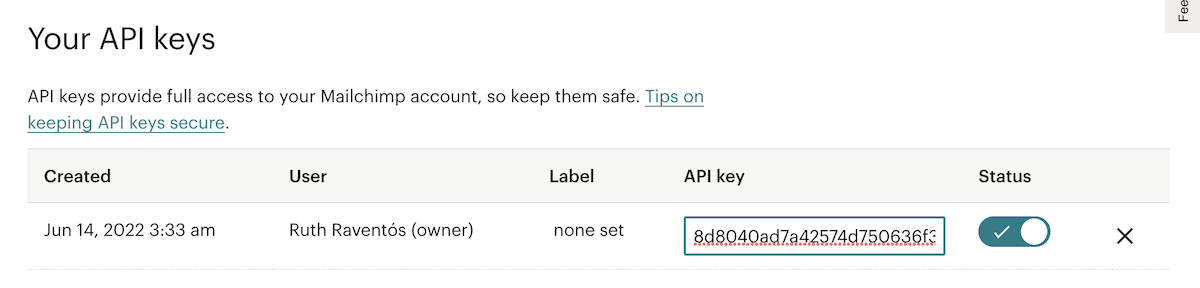 Chiave API generata da MailChimp
