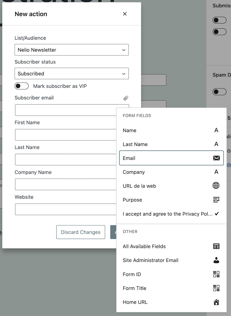 Indicando la corrispondenza tra i campi della audience di MailChimp e quelli creati nel form