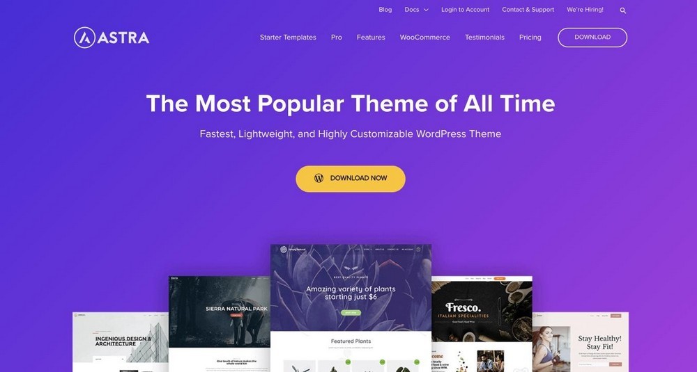 astra wordpress 主題