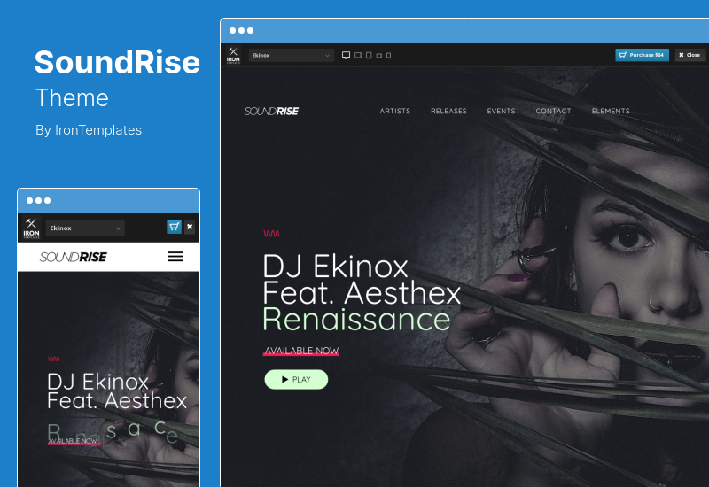 SoundRise 主题 - 艺术家、制作人唱片标签 WordPress 主题