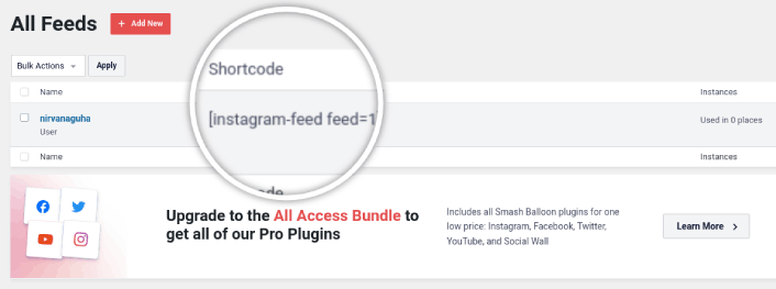 Instagram Feed Pro 简码