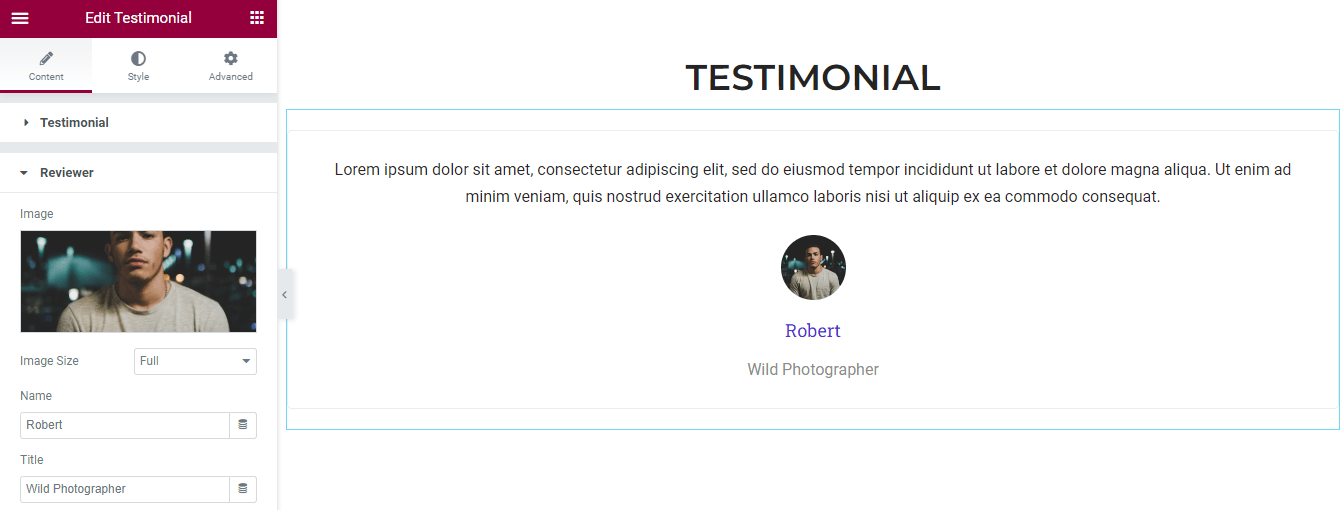 2022 年 5 个最适合您的 Elementor 投资组合模板 15 Manage Reviewer Content