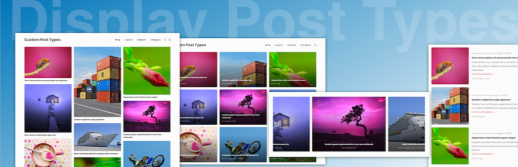Afișează tipurile de postări Display Posts Types