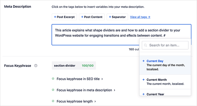 dynamic-meta-tags-aioseo - SeedProd aioseo dynamic meta tags