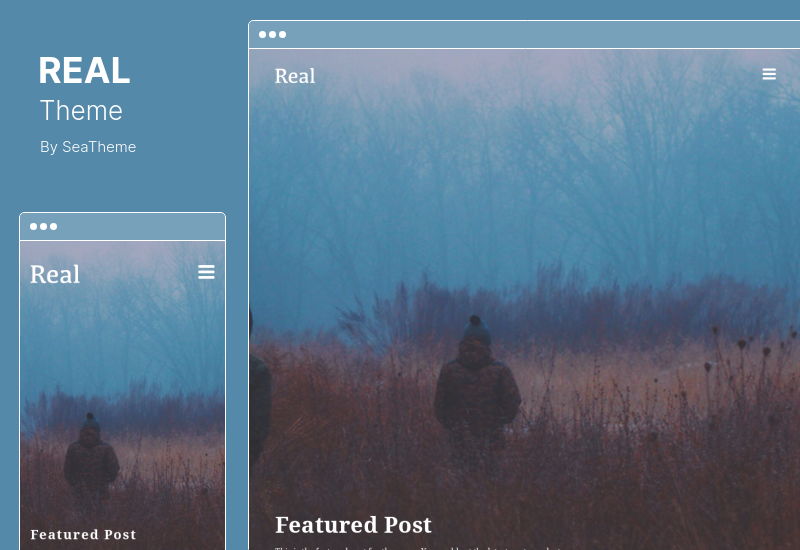 REAL Theme - тема WordPress для блога с платным членством
