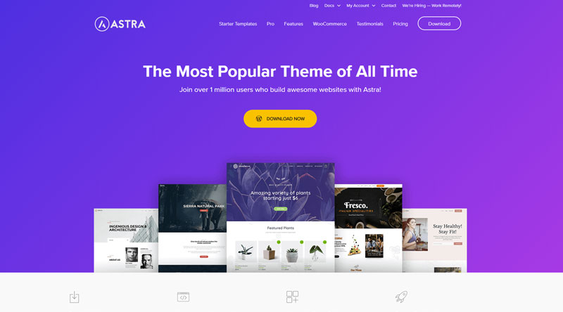 5 موضوعات WordPress ذات صفحة واحدة مجانية 5 Astra Theme