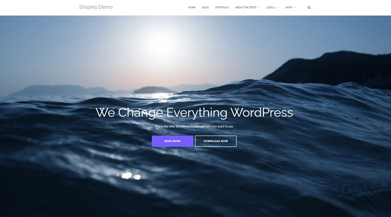 5 موضوعات ووردبريس ذات صفحة واحدة مجانية 3 Shapely WordPress Theme