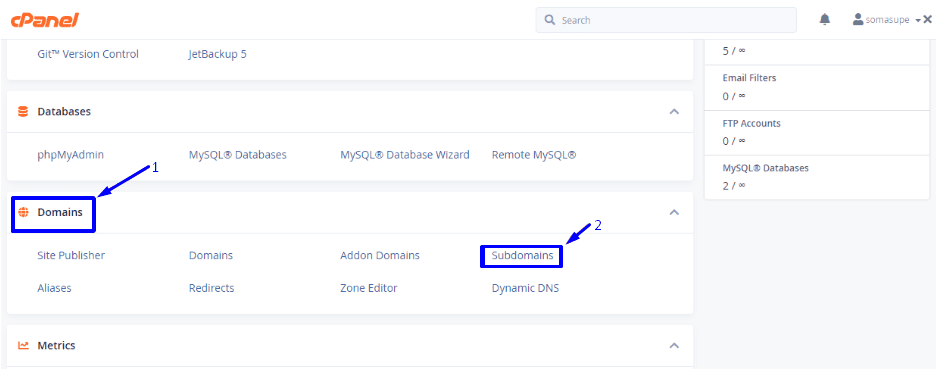 cPanel 하위 도메인 섹션