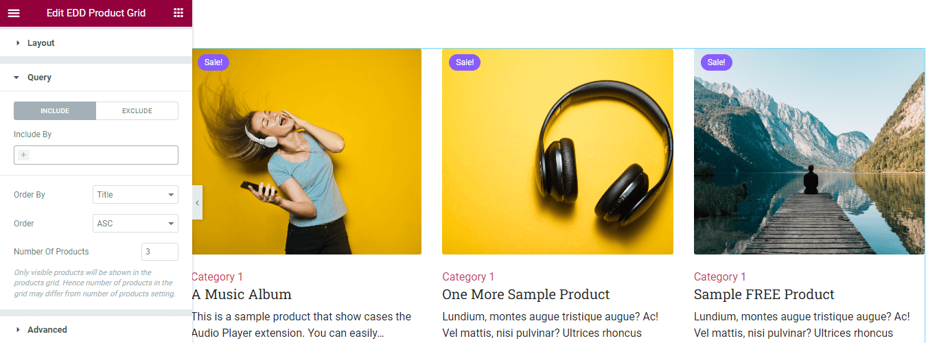 Descărcări digitale ușoare de la Happy Addons Widget pentru grilă de produse: o modalitate ușoară de a decora produsele digitale 4 Query Include