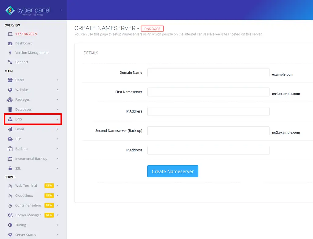 Управление DNS в CyberPanel