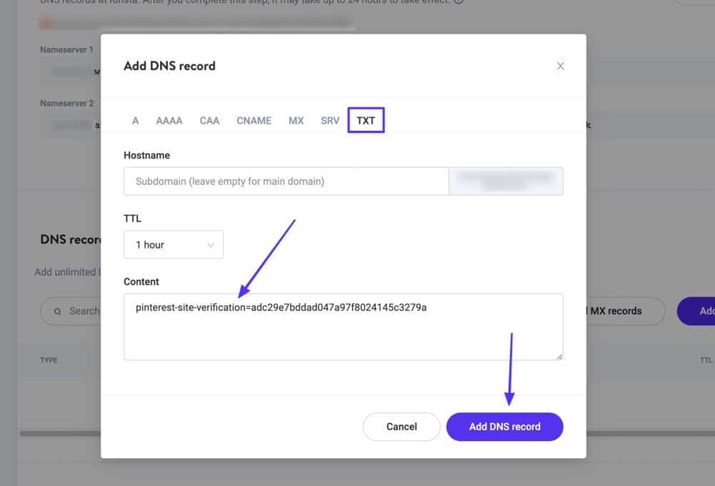 Incolla il record TXT nel campo Contenuto, quindi fai clic su Aggiungi record DNS
