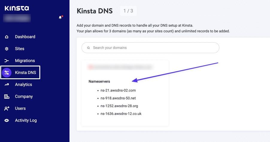 Seleziona Kinsta DNS, quindi fai clic su un nome di dominio