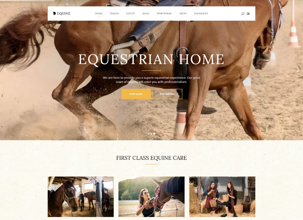 Equine - Um tema do clube de equitação e equitação