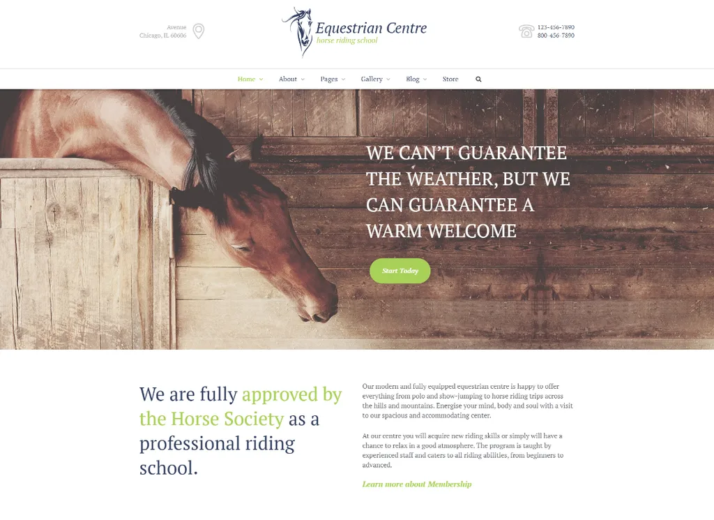 Tema WordPress de Hipódromo para Centro Equestre e Escola de Equitação