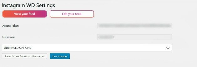 adicionar widget do instagram ao wordpress