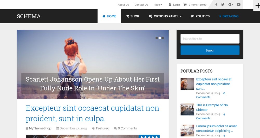 스키마 빠른 WordPress 테마