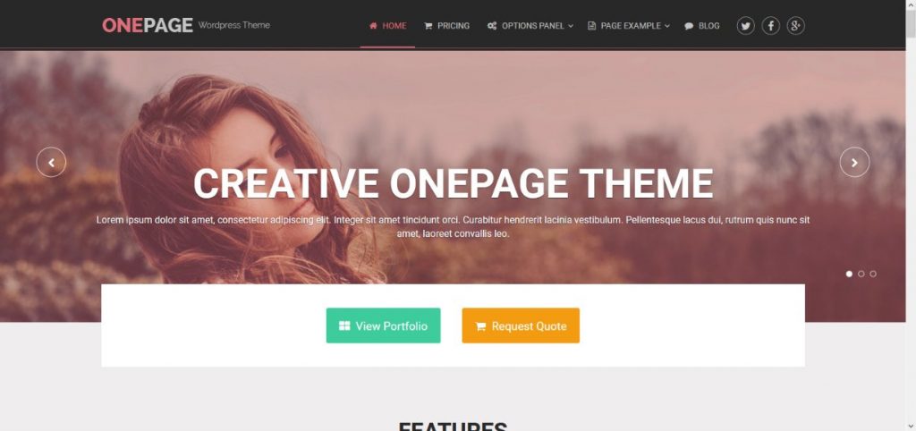 OnePage Tema demosu