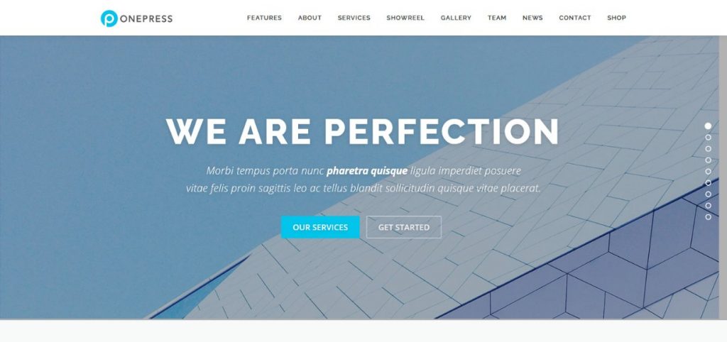 OnePress tema demosu